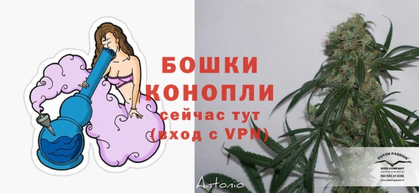 тгк Гусь-Хрустальный
