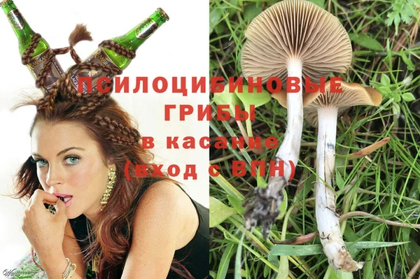 не бодяженный Гусев